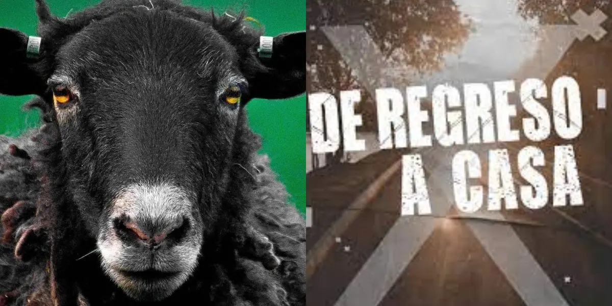 El futbolista que se postuló para regresar al club y sorprendió.