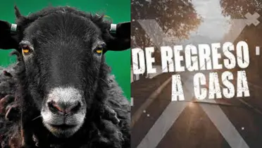 El futbolista que se postuló para regresar al club y sorprendió.