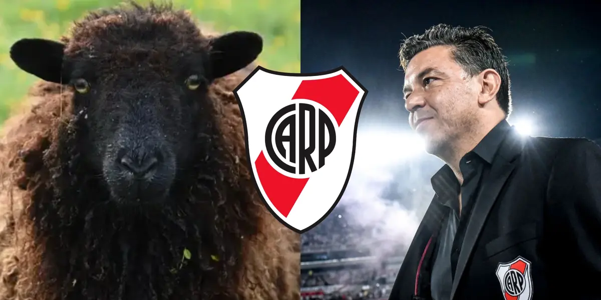 Oveja Negra y Marcelo Daniel Gallardo